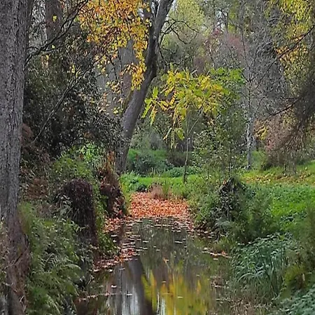 Villa Spacious In La Roche En Ardenne Bertogne