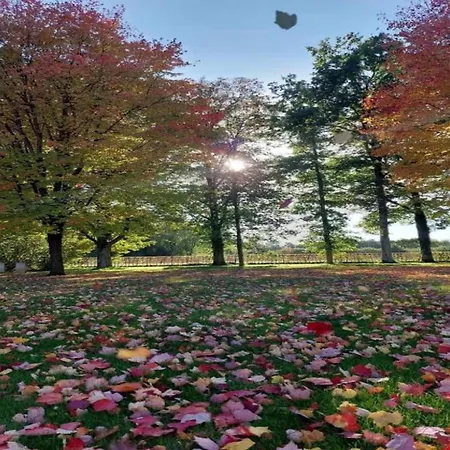 Spacious In La Roche En Ardenne Villa Bertogne