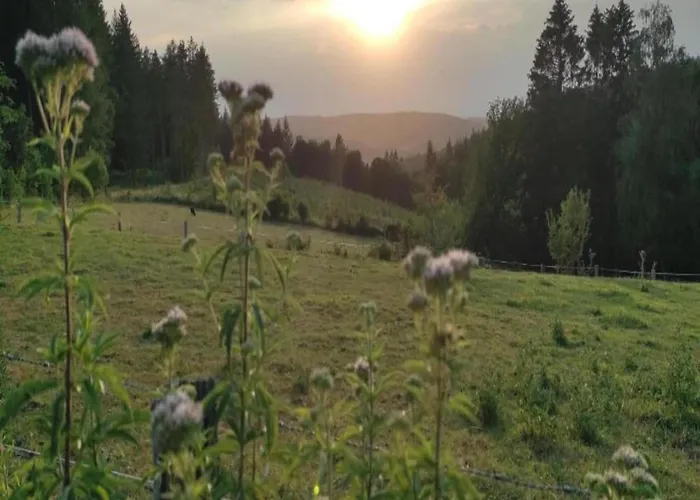 فيلة Spacious In La Roche En Ardenne *